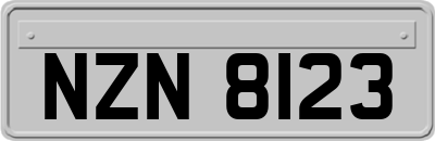 NZN8123