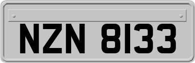 NZN8133