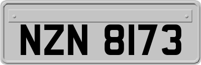NZN8173