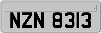 NZN8313
