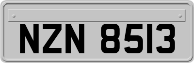 NZN8513