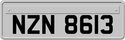 NZN8613