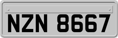 NZN8667