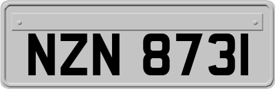 NZN8731