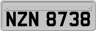 NZN8738