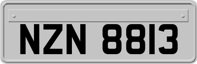 NZN8813