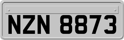 NZN8873