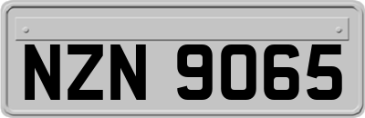 NZN9065