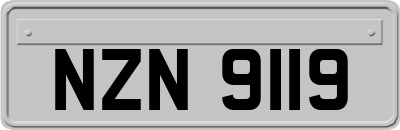 NZN9119