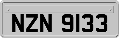 NZN9133
