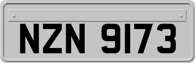 NZN9173