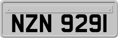NZN9291