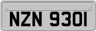 NZN9301