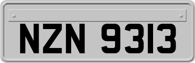 NZN9313