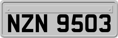 NZN9503