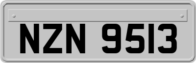 NZN9513