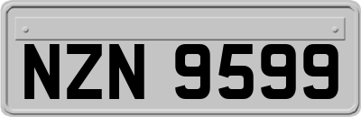 NZN9599