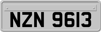 NZN9613