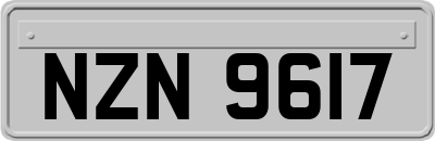 NZN9617