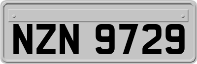 NZN9729