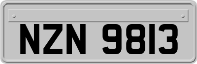 NZN9813