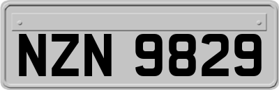 NZN9829