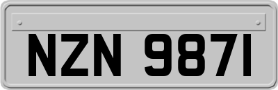 NZN9871