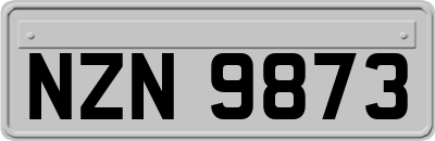 NZN9873