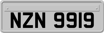 NZN9919
