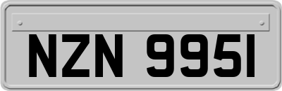 NZN9951