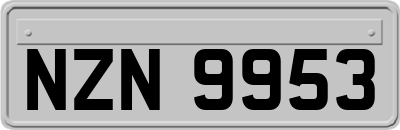 NZN9953