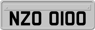 NZO0100