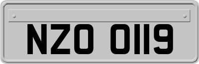 NZO0119