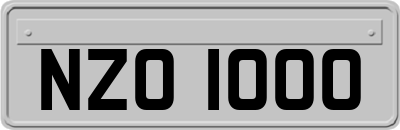 NZO1000