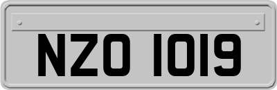 NZO1019