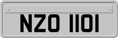 NZO1101