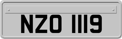 NZO1119