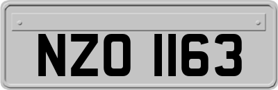 NZO1163