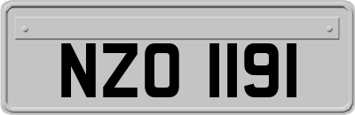 NZO1191