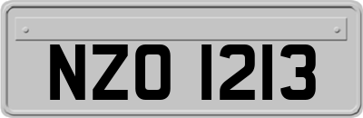 NZO1213
