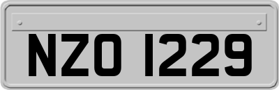 NZO1229