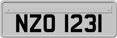 NZO1231