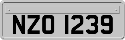 NZO1239