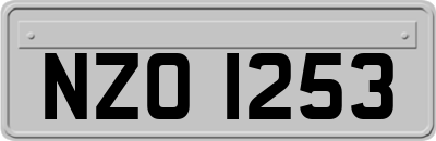 NZO1253