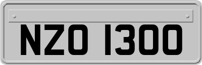NZO1300