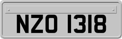 NZO1318