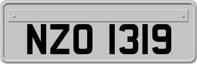NZO1319