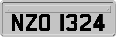 NZO1324