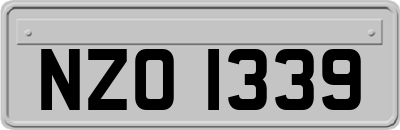 NZO1339