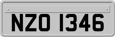 NZO1346